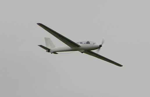 FMS Fox glider